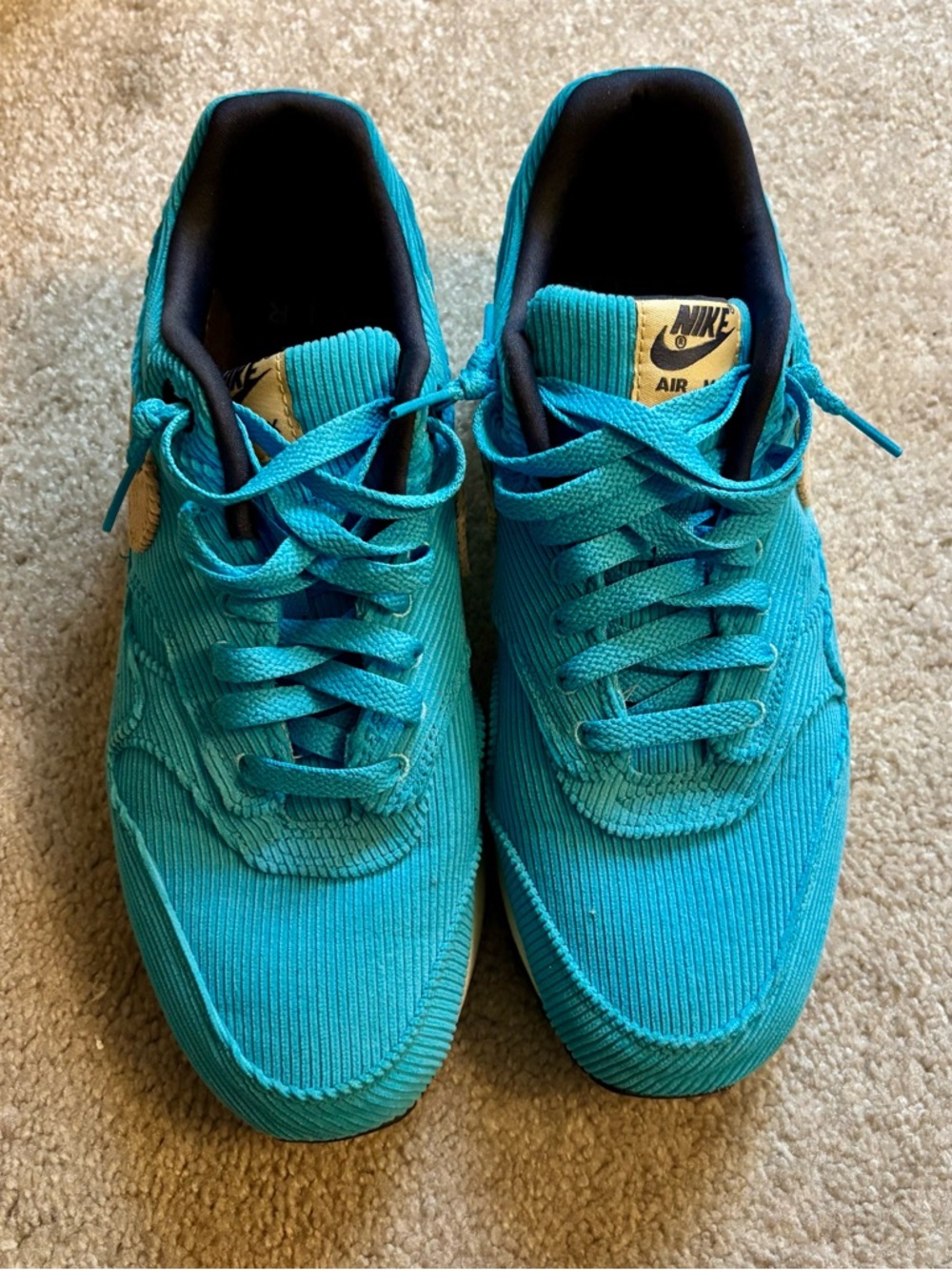 Nike Turquoise Lined Sneaker Pair